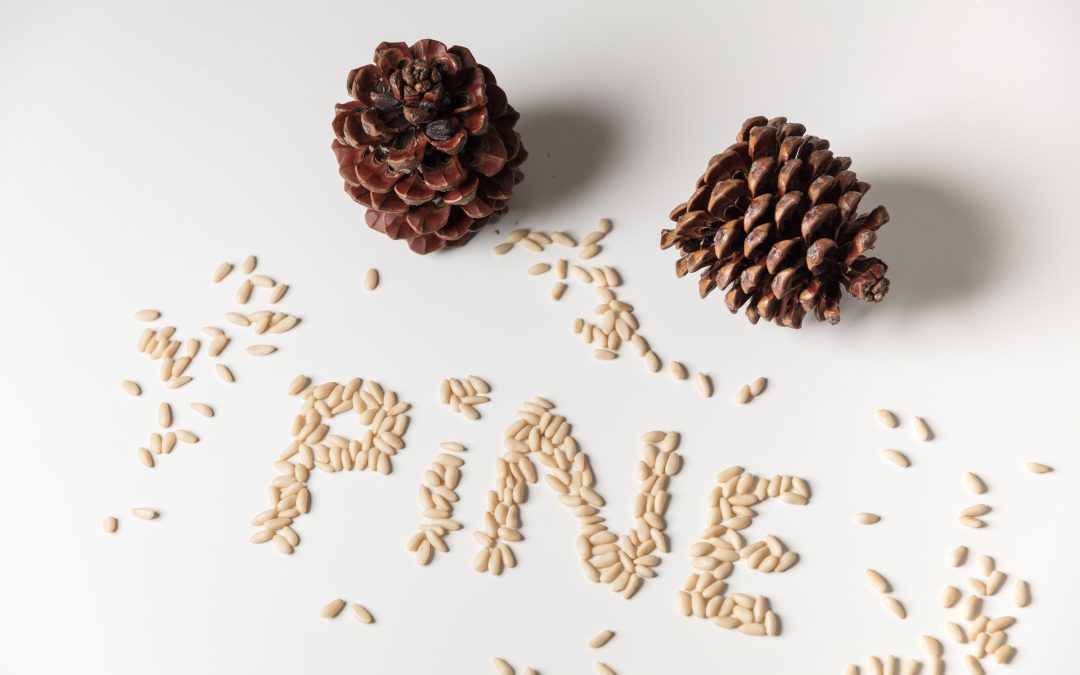 Pine Nuts – a treasure of the Mediterranean diet